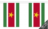 Suriname Buntings